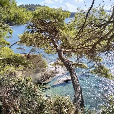 Grand T2 Sur La Presqu'ile De Giens * Hyeres